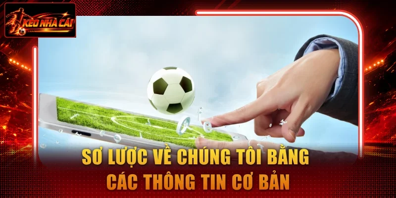 Sơ lược về chúng tôi bằng các thông tin cơ bản