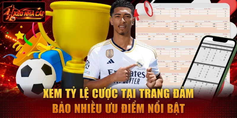 Xem tỷ lệ kèo nhà cái hôm nay cược tại trang đảm bảo nhiều ưu điểm nổi bật Xem tỷ lệ kèo nhà cái hôm nay cược tại trang đảm bảo nhiều ưu điểm nổi bật